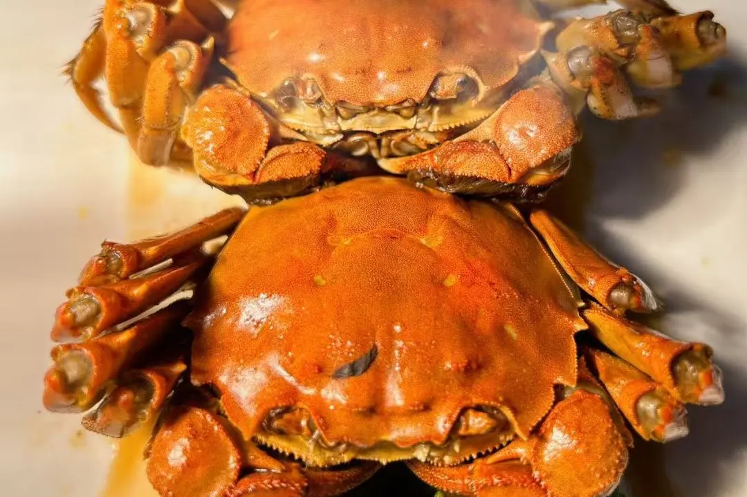 微信圖片_2025-11-28_203419_939.png 微信圖片_2025-11-28_203419_939.png